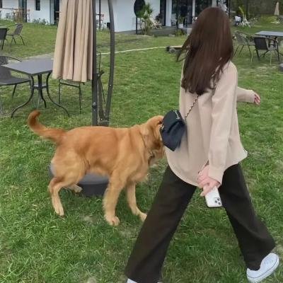 发明之父